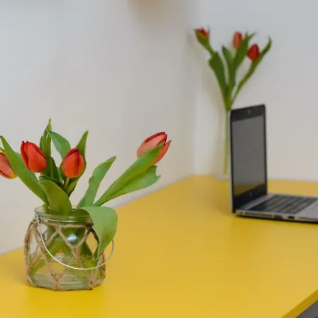 The Nest - City Center Apartment Timisoara