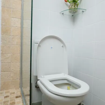The Nest - City Center Apartment Timisoara
